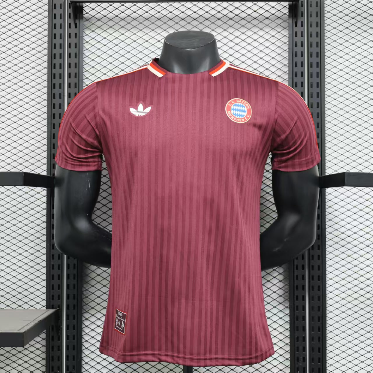 2025 Player Bayern München